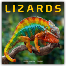 Lizards - Eidechsen 2025 - 16-Monatskalender naptár, kalendárium