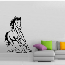  Ló, lovas falmatrica 11 tapéta, díszléc és más dekoráció