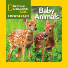  Look and Learn: Baby Animals – National Geographic Society idegen nyelvű könyv