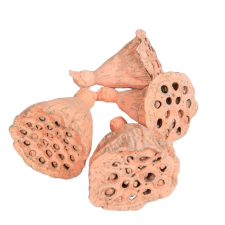  Lotus mini falfestékes narancs 6dkg/csom dekorációs kellék