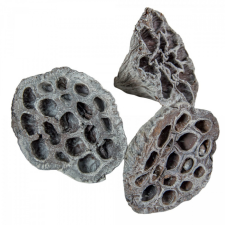  Lótus szürke nagy 5-8cm 12db-os csomag dekorációs kellék