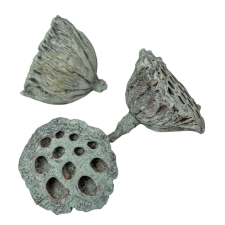  Lótusz 5-8cm falfestékes moss zöld 12db-os dekorációs kellék