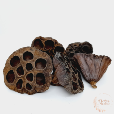  Lótusz - nagy - natúr dekorációs kellék