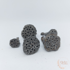  Lótusz - szárított havas szürke színű dekorációs kellék