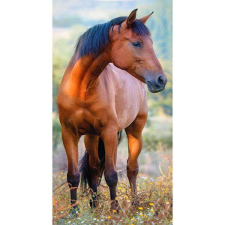  Lovas arctörlő / törölköző - 50x30 cm - barna lovas lakástextília