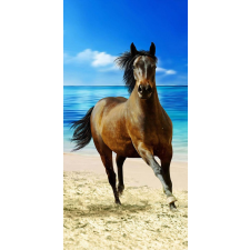 Lovas fürdőlepedő, strand törölköző 70x140cm lakástextília