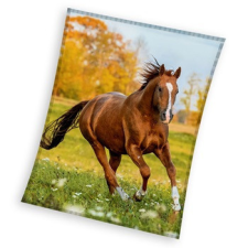 Lovas Gallop coral fleece polár takaró 150x200cm lakástextília