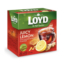 Loyd piramis HOT tea gyömbér-citrom-méz 40g tea