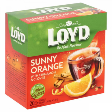 LOYD TEA NARANCS-FAHÉJ 20X2G tea