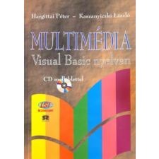 LSI Oktatóközpont MULTIMÉDIA VISUAL BASIC NYELVEN antikvárium - használt könyv