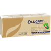  Lucart EcoNatural papírzsebkendő 4 rétegű 10x10db-os (Karton - 24 csg)