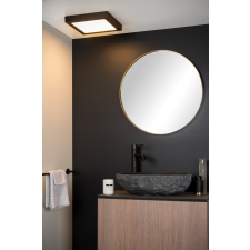 Lucide Brice fekete LED fürdőszobai mennyezeti lámpa (LUC-28117/30/30) LED 1 izzós IP44 világítás