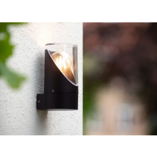 Lucide Norman fekete-átlátszó kültéri fali lámpa (LUC-15805/01/30) E27 1 izzós IP65 kültéri világítás
