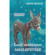  Lucy csodálatos meglepetése gyermek- és ifjúsági könyv