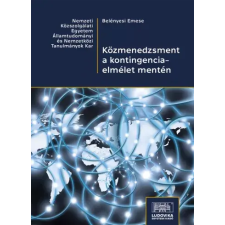 Ludovika Közmenedzsment a kontingenciaelmélet mentén egyéb e-könyv