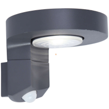 Lutec 6906702335 Diso 2W 4000K 200lm IP44 napelemes mozgásérzékelős kültéri fali LED lámpa kültéri világítás