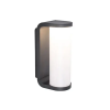 Lutec Adalyn sötétszürke LED kültéri falikar (LUT-5193602118) LED 1 izzós IP44