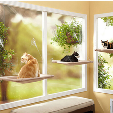  Macska fekhely ablakra, cica fekhely, ablakra tapasztható cicaágy szállítóbox, fekhely macskáknak