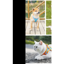 Macskahám pórázzal - Kék nyakörv, póráz, hám macskáknak