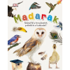  - Madarak