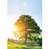 Magánkiadás Égi Üzenetek - Máté Evangéliuma