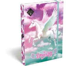  Magical Beauty füzetbox A/4, Magic, unikornis füzetbox
