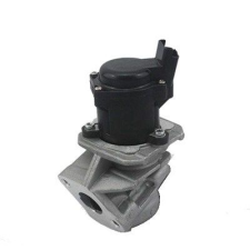 MAGNETI MARELLI AGR-szelep MAGNETI MARELLI 571822112044 autóalkatrész