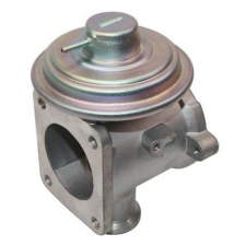 MAGNETI MARELLI AGR-szelep MAGNETI MARELLI 571822112093 autóalkatrész