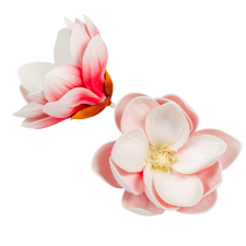 Magnólia virágfej polifoam D10cm 12db/csom dekorációs kellék