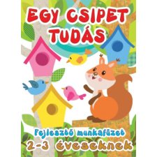 Magnusz Kiadó Egy csipet tudás - Fejlesztő munkafüzet 2-3 éveseknek kreatív és készségfejlesztő