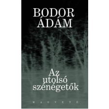 Magvető Az utolsó szénégetők szépirodalom