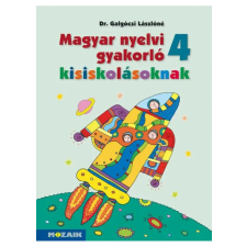 Magyar nyelvi gyakorló kisiskolásoknak 4. - MS-2508U tankönyv