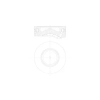 Mahle dugattyú 081 PI 00105 000