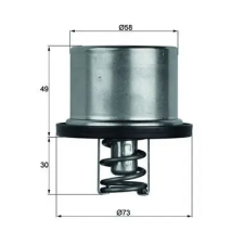 Mahle termosztát, hűtőfolyadék TX 37 79 autóalkatrész
