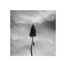  Manchester Orchestra - A Black Mile To The Surface (Cd) rock / pop