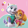Mancs őrjárat Paw Patrol Skye and Everest, Mancs Őrjárat szalvéta 20 db-os