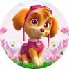  Mancsőrjárat, Paw Patrol,Skye témájú tortaostya,ostyalap