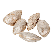  Mandula pezsgő 10dkg/csom dekorációs kellék