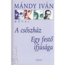 Mándy Iván A CSŐSZHÁZ - EGY FESTŐ IFJÚSÁGA regény