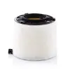 MANN-FILTER légszűrő C 17 010