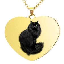 Maria King Fekete macska medál lánccal, választható több formában és színben medál
