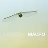  Mastering Macro Photography – David Taylor