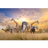  Matrica tapéta Állatok az afrikai szavannáról, 350 x 250 cm
