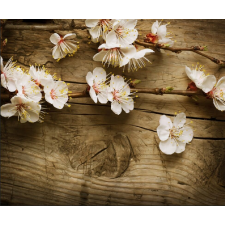  Matrica tapéta Cherry blossoms2, 200 x 150 cm tapéta, díszléc és más dekoráció