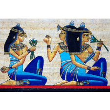  Matrica tapéta Egypt, papyrus7, 350 x 250 cm tapéta, díszléc és más dekoráció