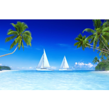  Matrica tapéta Palmieri41, 350 x 200 cm tapéta, díszléc és más dekoráció