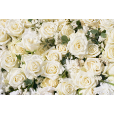  Matrica tapéta Virágok173 Fehér rózsák2, 250 x 200 cm tapéta, díszléc és más dekoráció