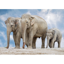  Matricás tapéta Elefántcsalád, 200 x 150 cm tapéta, díszléc és más dekoráció