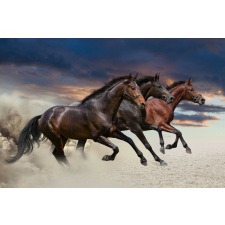  Matricás tapéta Három ló, vágta, 250 x 200 cm tapéta, díszléc és más dekoráció