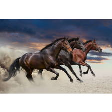  Matricás tapéta Három ló, vágta, 350 x 200 cm tapéta, díszléc és más dekoráció